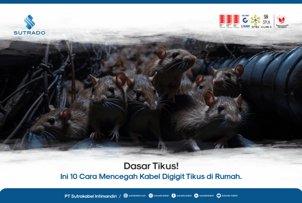 kabel digigit tikus